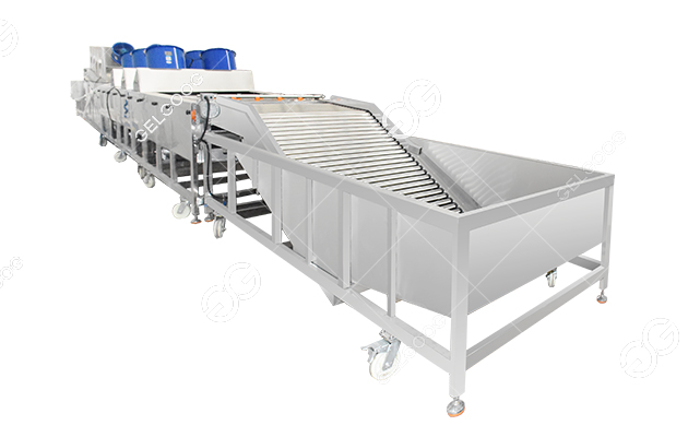 fruit washing line