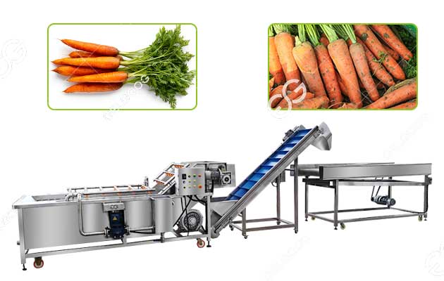 carrot washing line