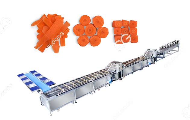 Full Automatic Carrot Washing Process Solution 2025