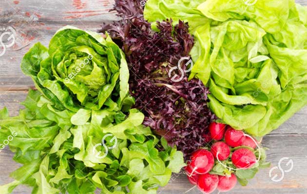 How To Choose Industrial Ftuit And Vegetable Washing Machine?