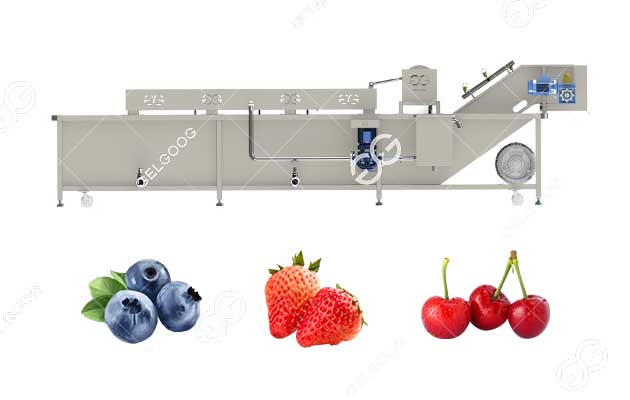 fruit and vegetable bubble washer
