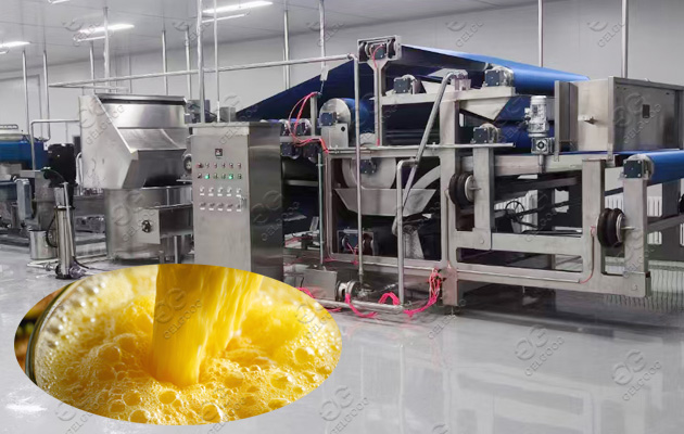 automatic pineapple juice processing solution