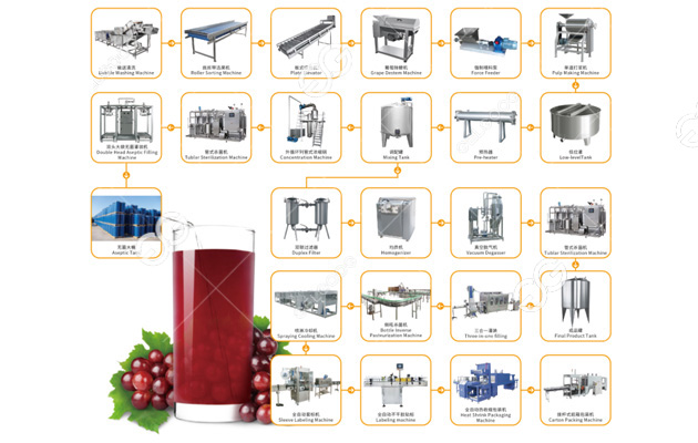 grape juice making machine