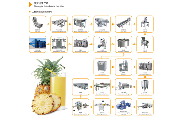 Complete Fruit Juice Processing Solutions 