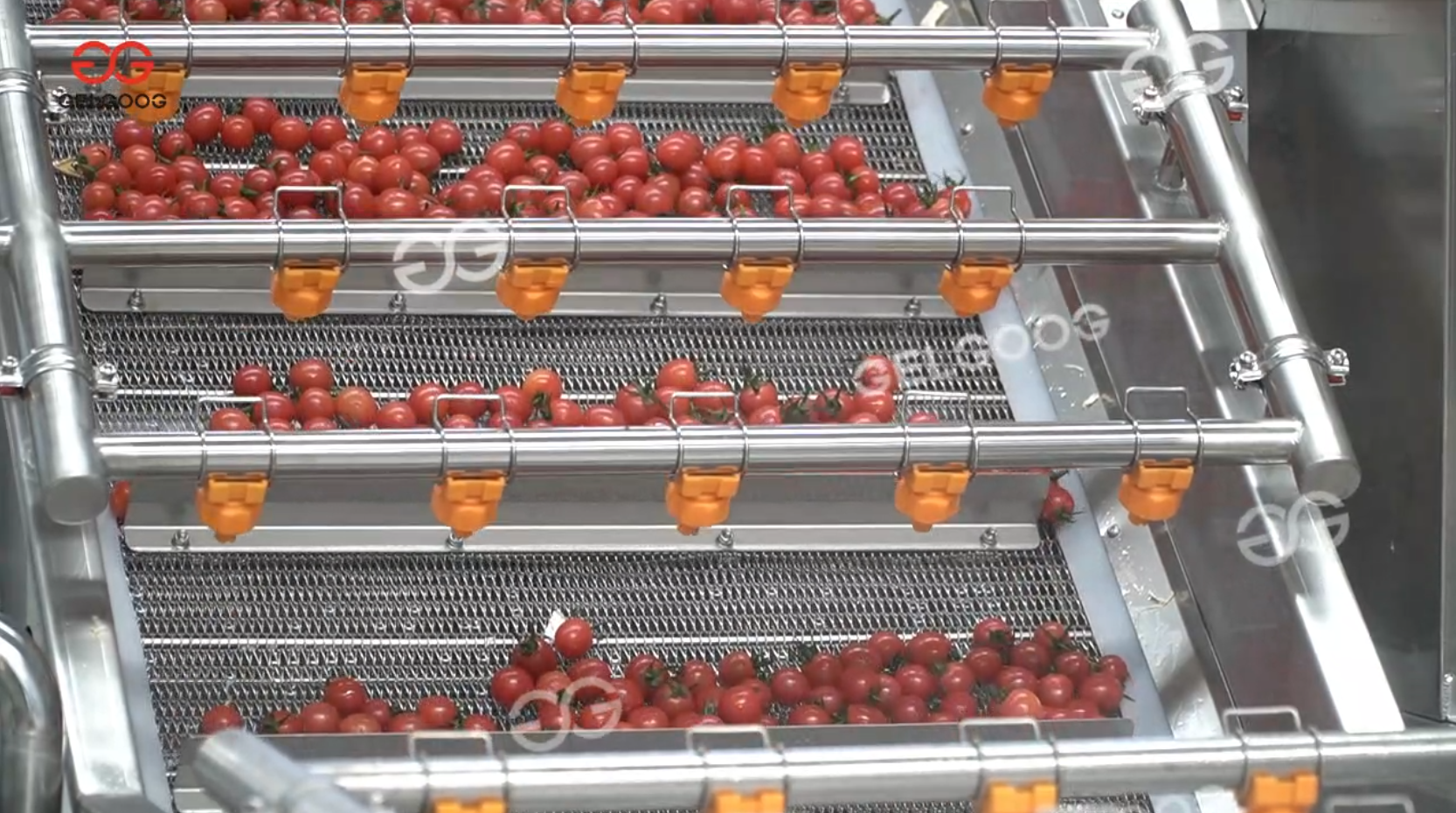 egypt tomato cleaning machine manufacturer