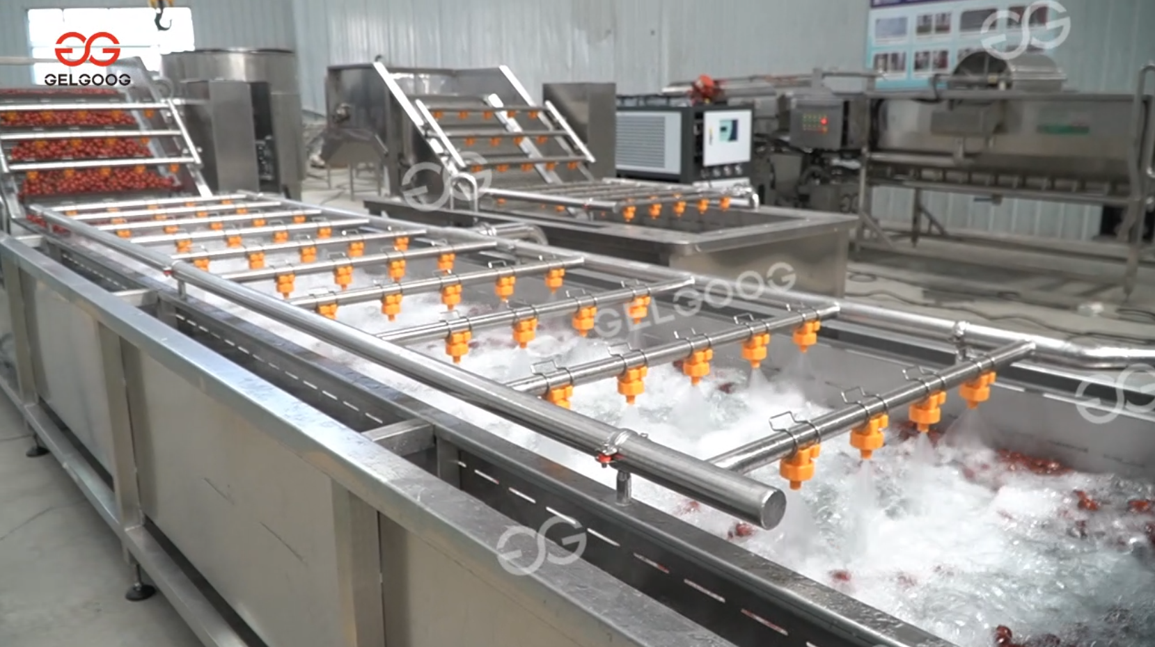 egypt tomato washing machine for sale