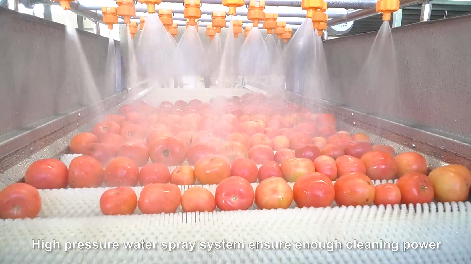automatic tomato washing solution