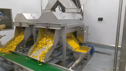mango pulp processing factory