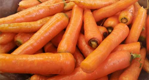Efficient Carrot Washing for Small and Medium Farms in Spain