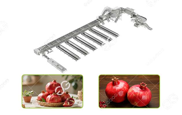 pomegranate-sorting-equipment.jpg