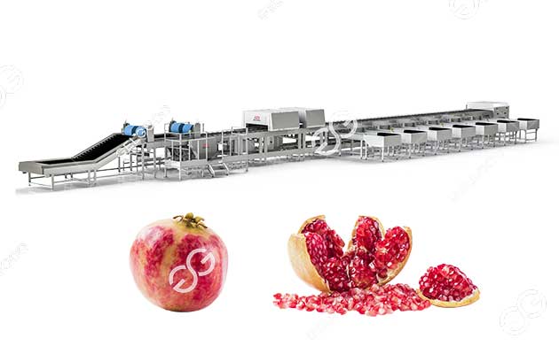 Automatic Pomegranate Sorting Grading Machine 1-10t/H Manufacture
