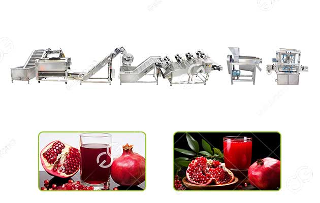 pomegranate juice processing machine line