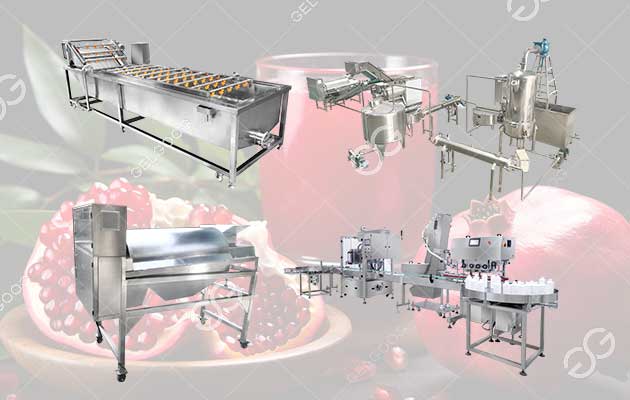 pomegranate juice production line