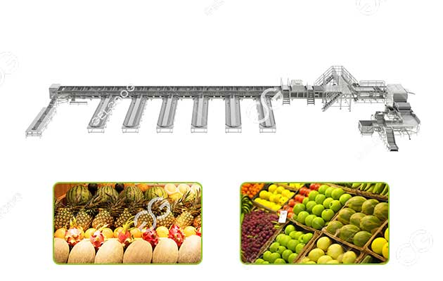 fruit sorting and grading machine