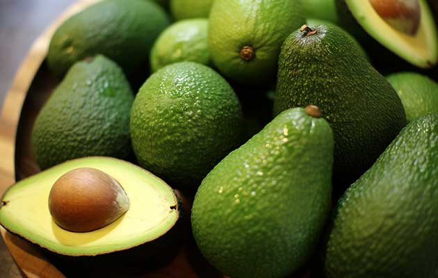 avocado processing plant