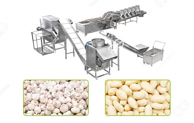 garlic peeling machine line