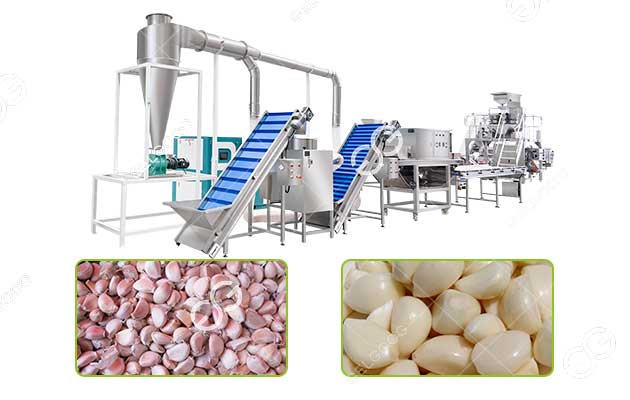 garlic skin remove machine