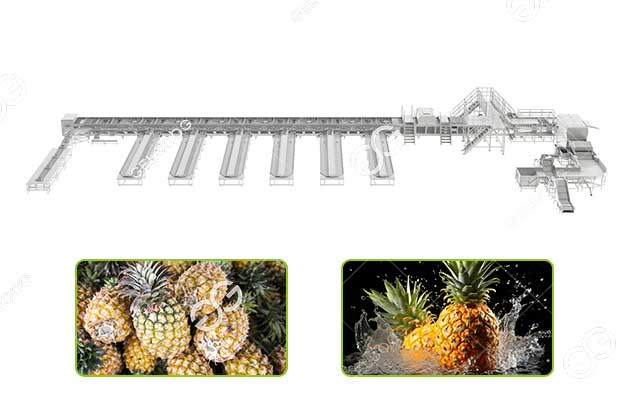 pineapple frading machine