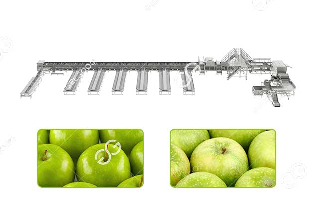 Optical Apple AI Grading Sorting Machine 1-10 T/H