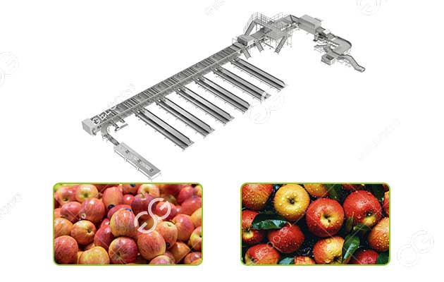 apple sorting machine