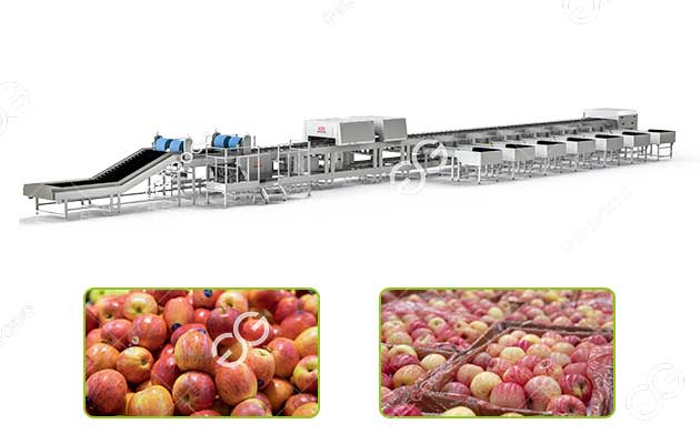 apple internal defect sorter