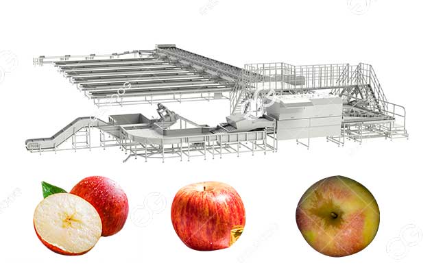 apple sorting machines with computer vision