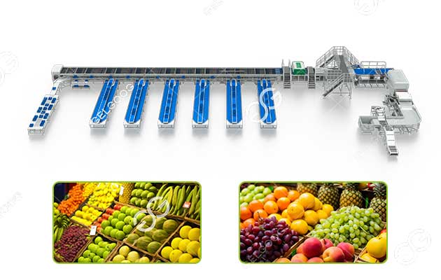 GELGOOG Releases Smart AI Fruit Sorting Equipment