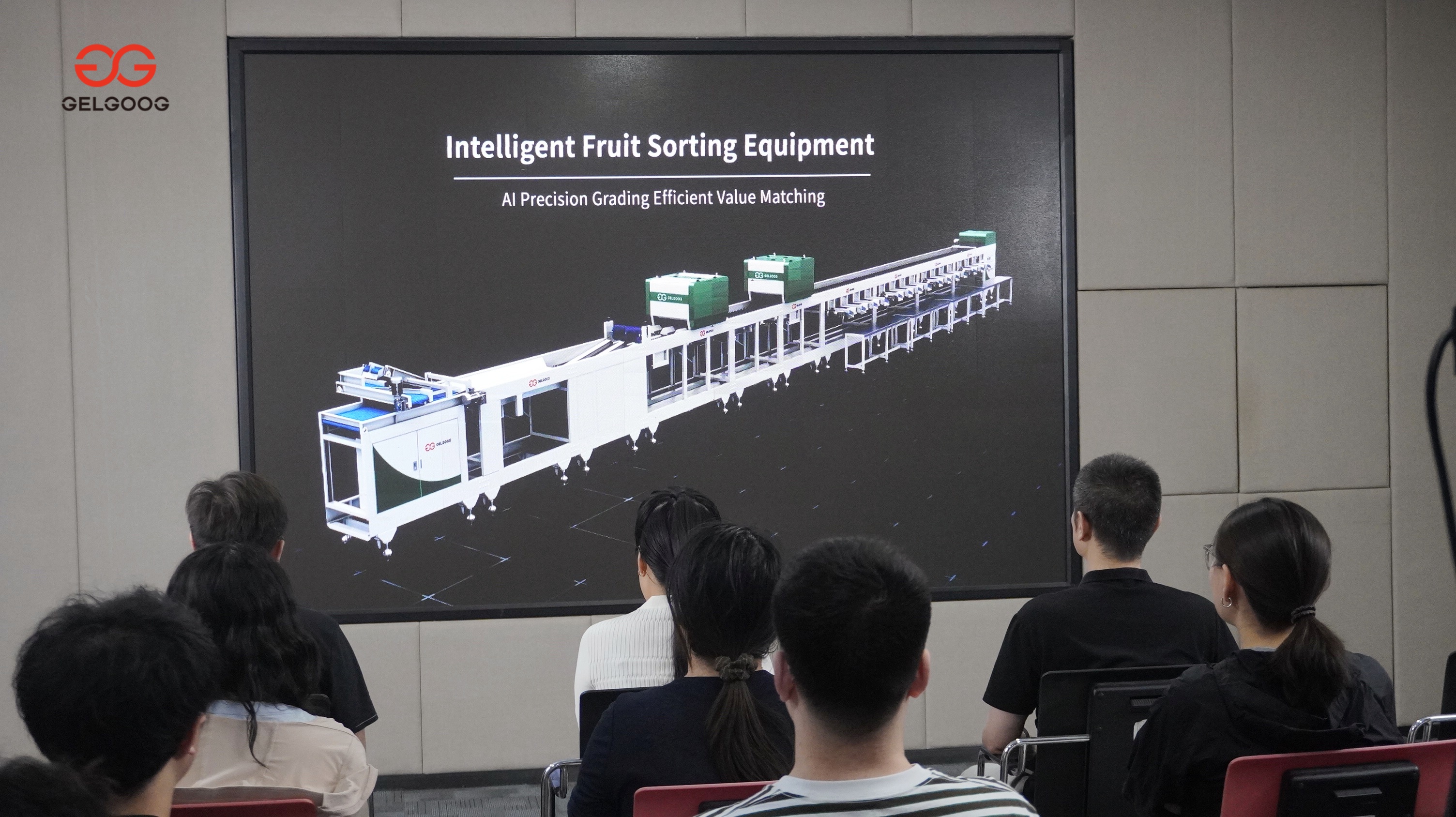 vision fruit sorting machine