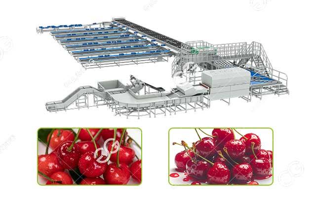 cherry classify machine