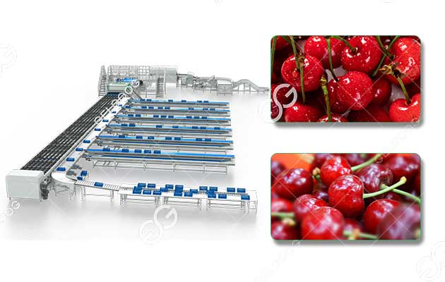 cherry classify machine