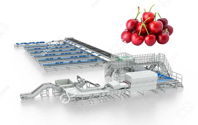 optical cherry sorter