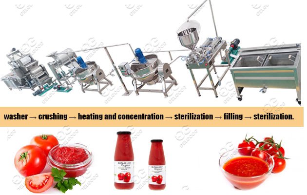 tomato puree manufacturing plant cost