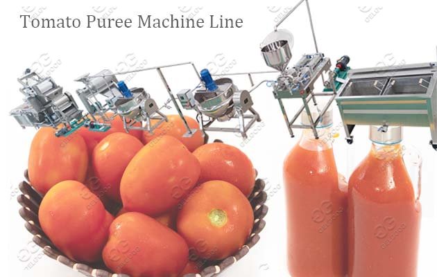 tomato puree processing