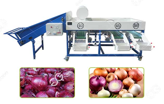 onion diameter grading machine