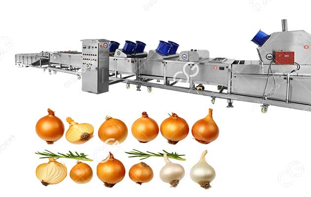 onion size sorting machine