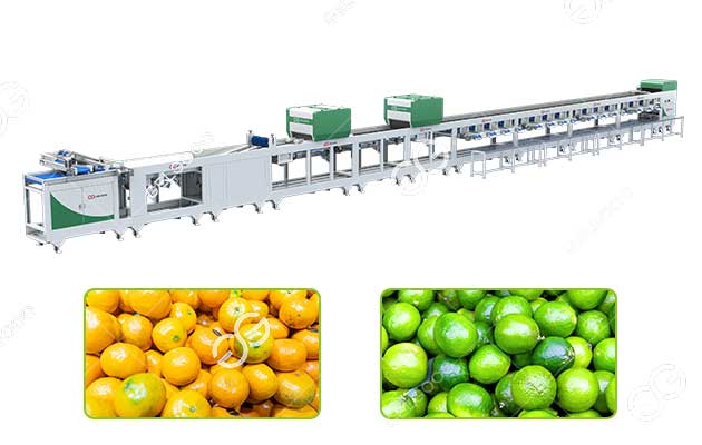 NIR citrus sorting machine