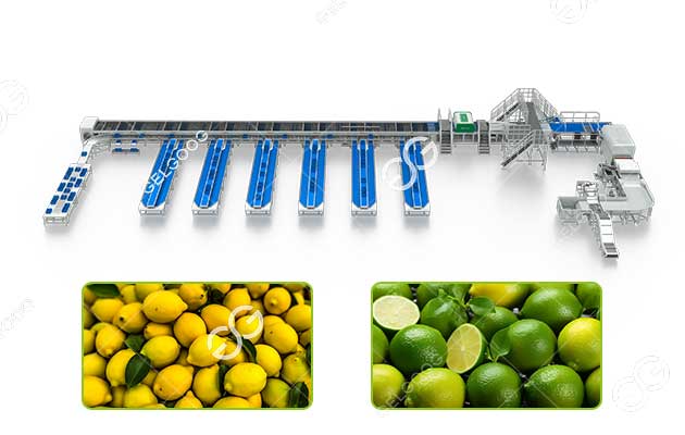 orange color sorter machine