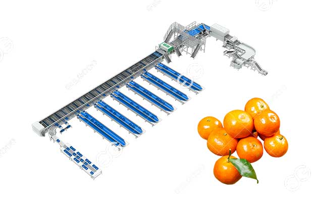 citrus AI sorting machine