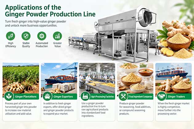 Applications of Ginger Powder Production Line