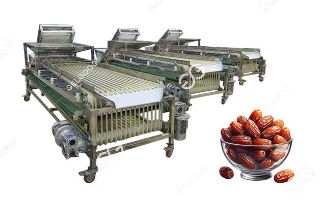 Medjool date sorting machine