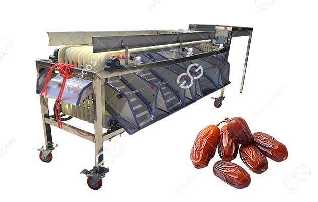 Medjool date size grading machine