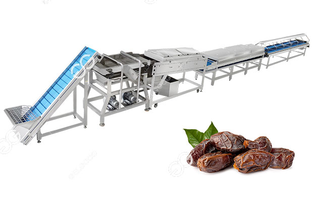 Dates Washing and Drying Line Without Damage for Commercial Use