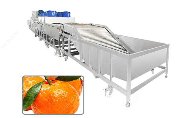 citrus-washing-machine.jpg