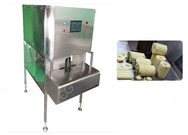 Pineapple Peeling and Coring Machine Manufacturer