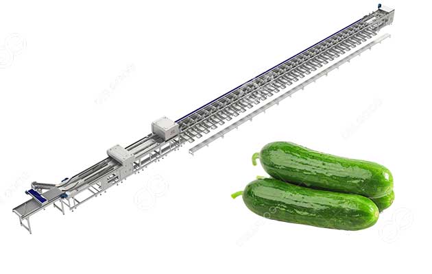 Cucumber-Washing-and-Sorting-Line.jpg Cucumber-Washing-and-Sorting-Line.jpg