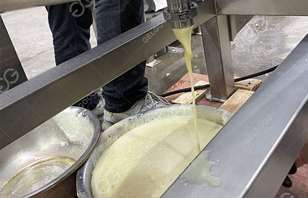 pineapple juicing machine