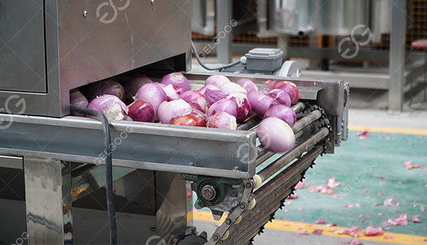 onion peeling machine