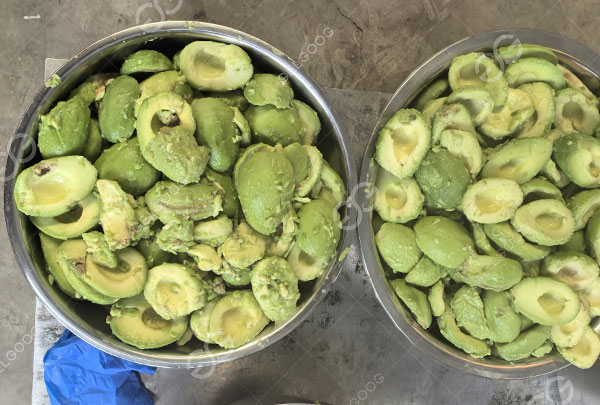 fresh avocado