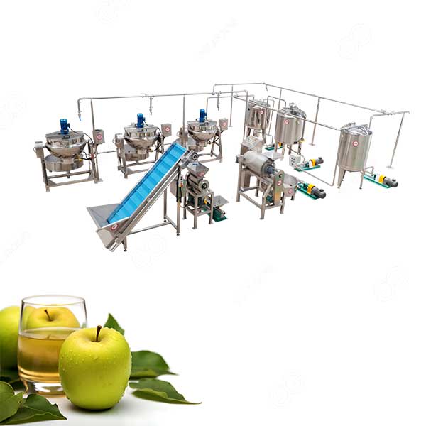 2Ton/h Apple Juice Manufacturing Processing Line