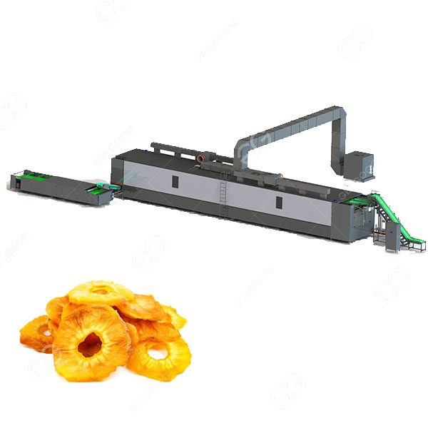 dried fruit production line